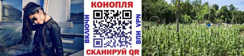 Каннабис тримм гидра онион Кызыл